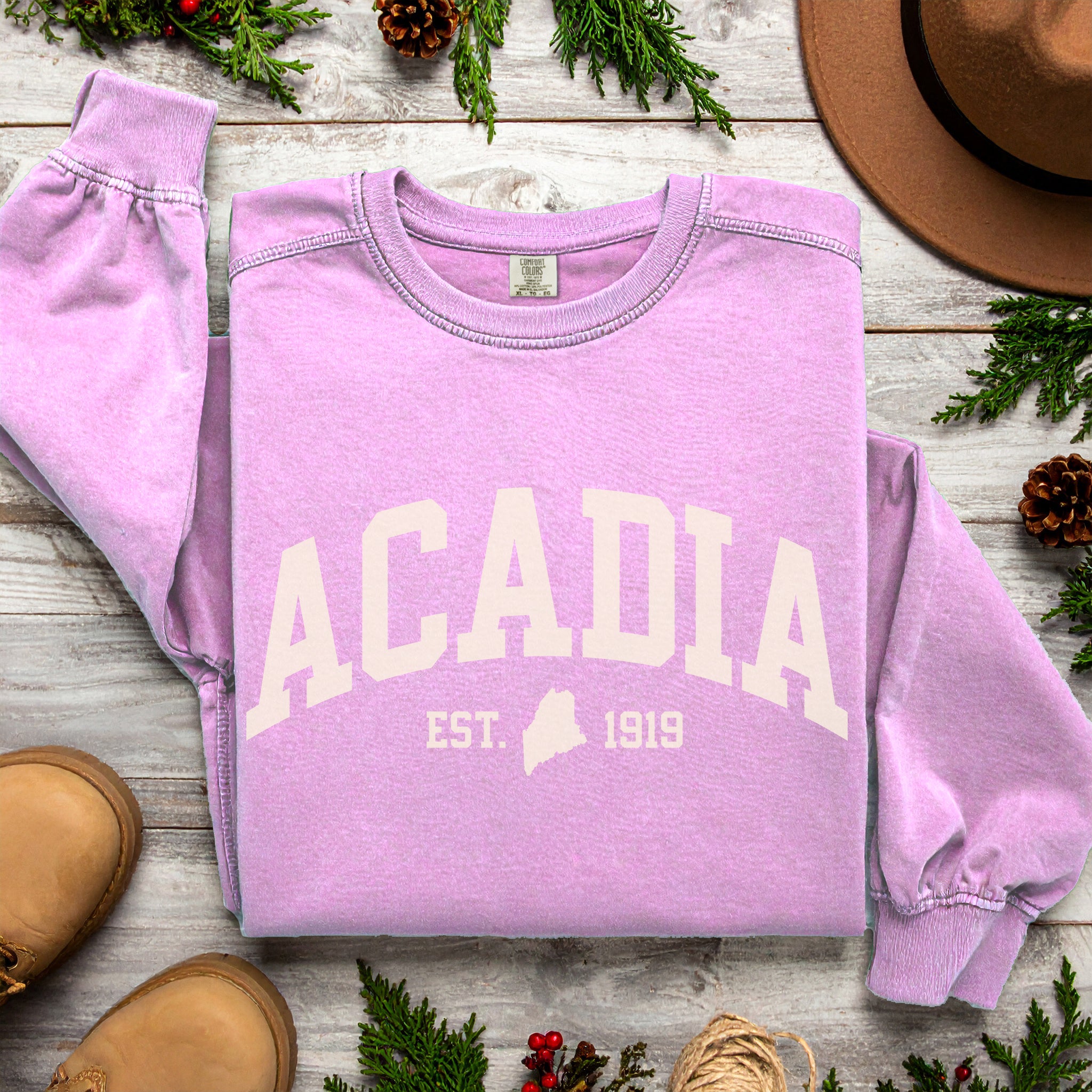 Acadia National Park Sweatshirt | Vintage Maine Varsity Style | Cozy Crewneck for Nature Lovers