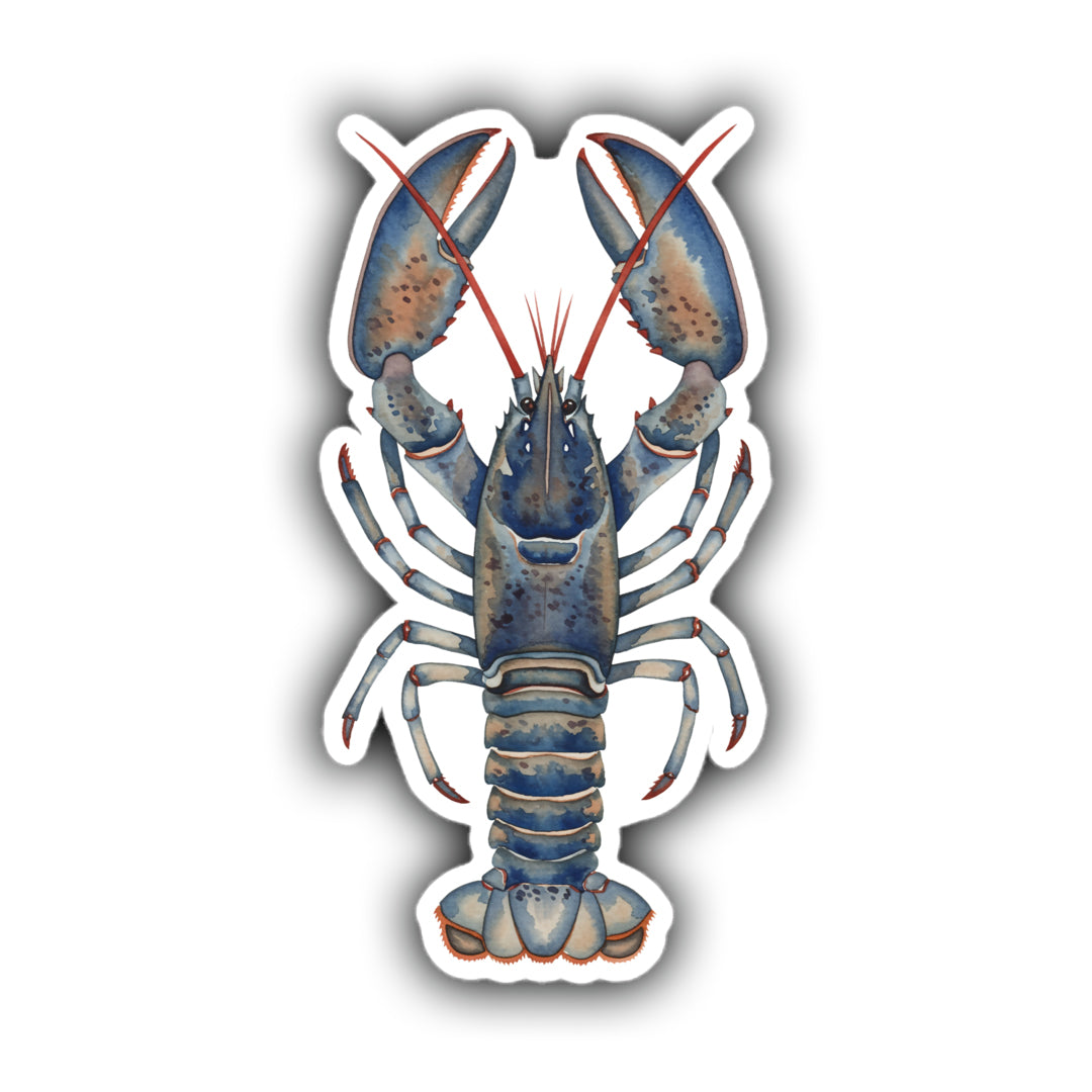 Painted Blue Lobster sticker