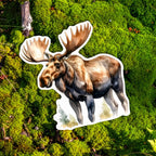 Watercolor Moose Die-Cut Vinyl Sticker | Maine & New England Icon