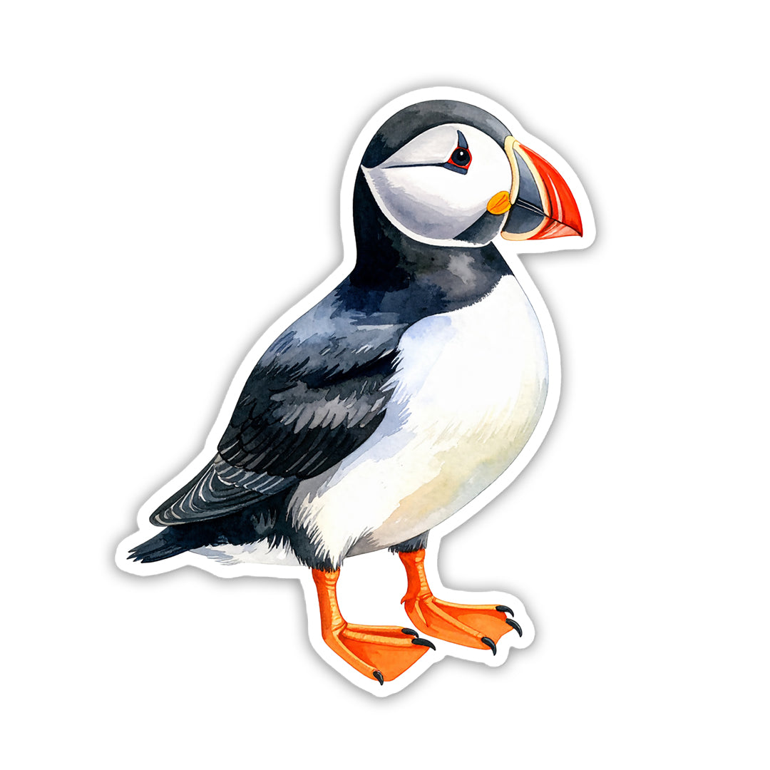 Watercolor Puffin Die-Cut Vinyl Sticker | Maine Coastal Decal | New England Summer