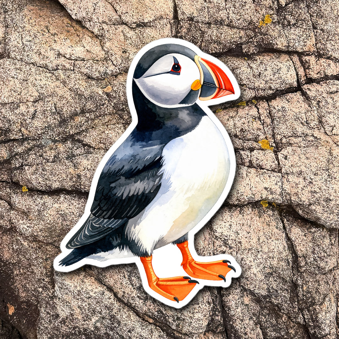 Watercolor Puffin Die-Cut Vinyl Sticker | Maine Coastal Decal | New England Summer