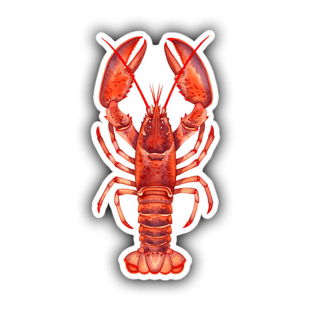 Painted Red Lobster sticker
