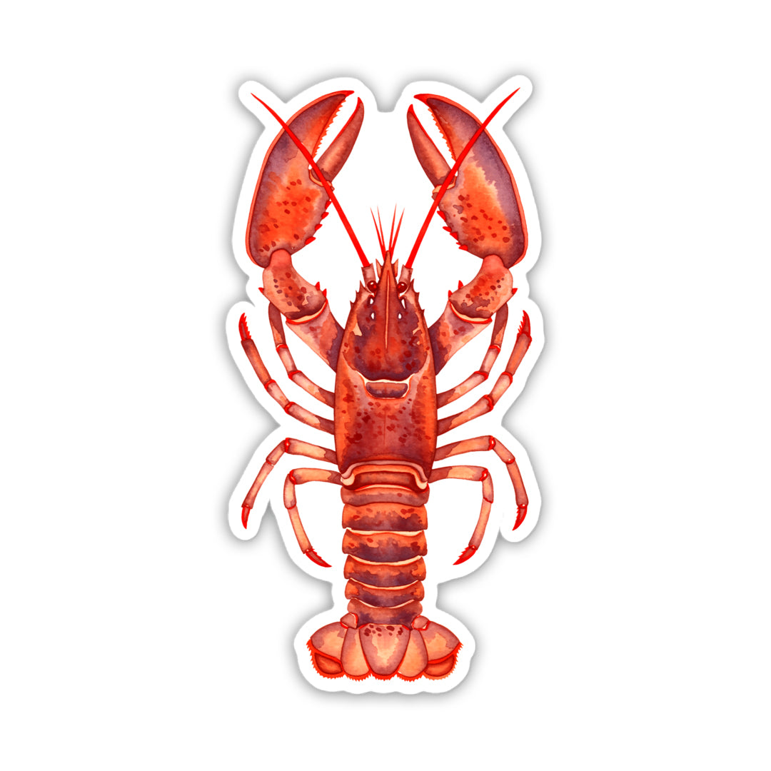 Painted Red Lobster Vinyl Sticker | Coastal Maine Decal